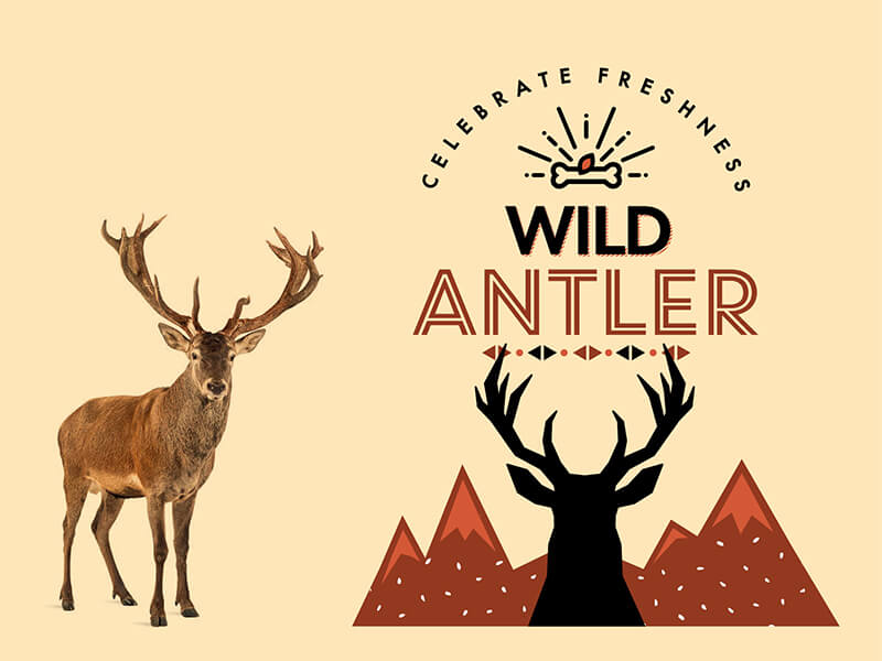 Wild Antler